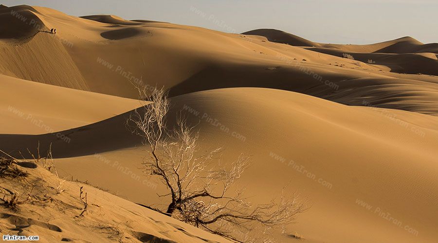 Maranjab Desert 2